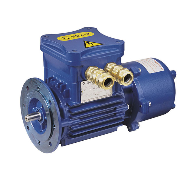 ATEX ELECTRIC MOTORS - Image 2