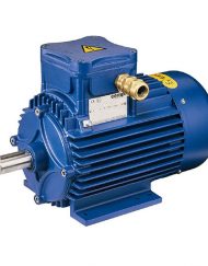 ATEX ELECTRIC MOTORS
