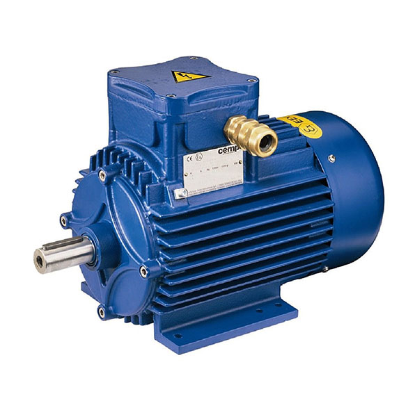 ATEX ELECTRIC MOTORS